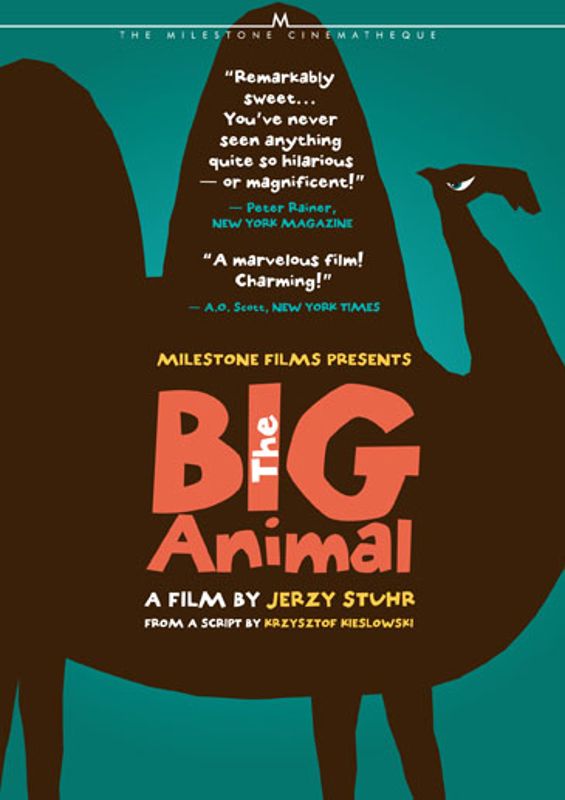 Big Animal cover art