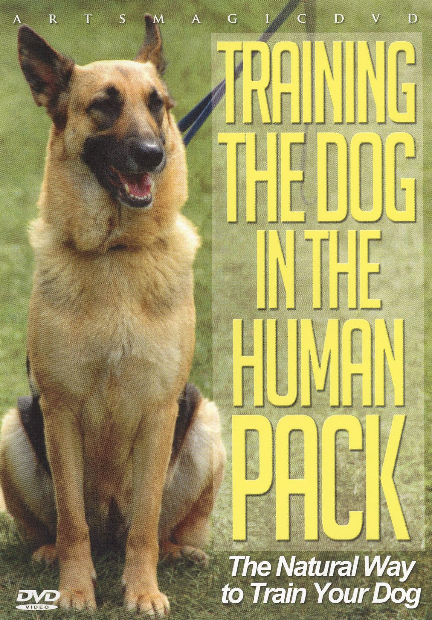 Training The Dog In The Humanpack (USA Import) cover art