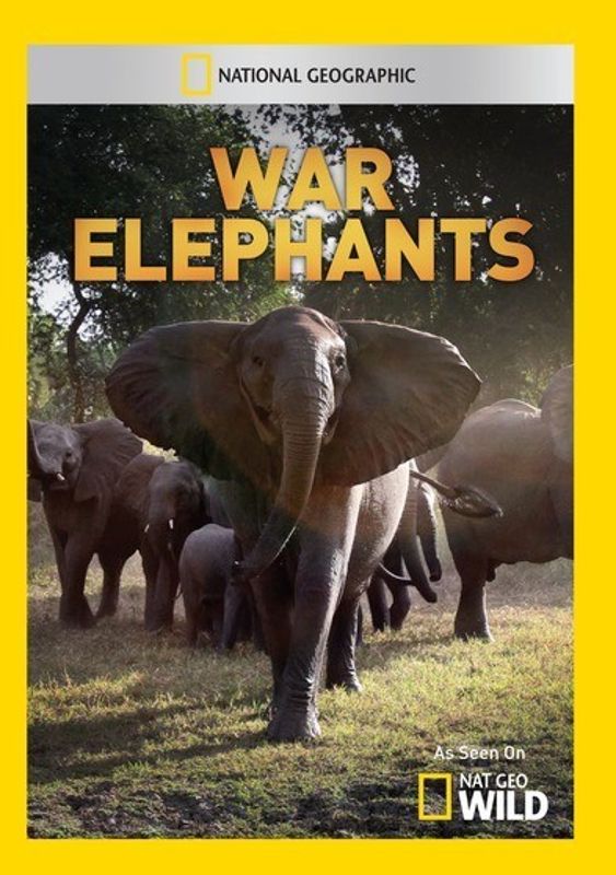 War Elephants cover art