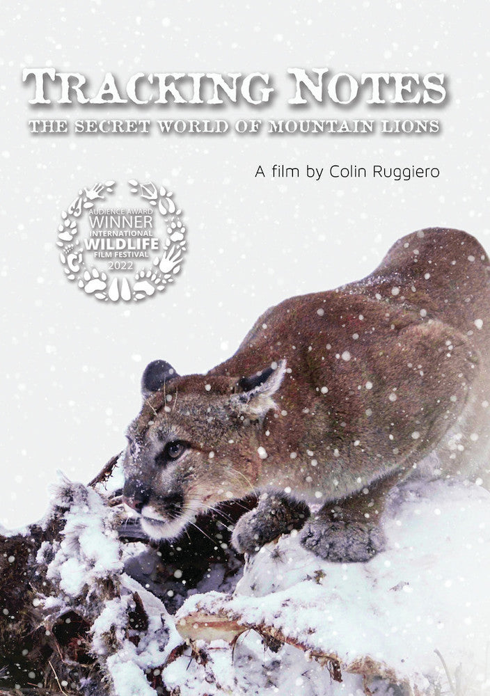 Tracking Notes: The Secret World of Mountain Lions cover art