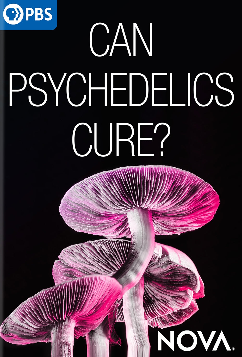 NOVA: Can Psychedelics Cure? cover art