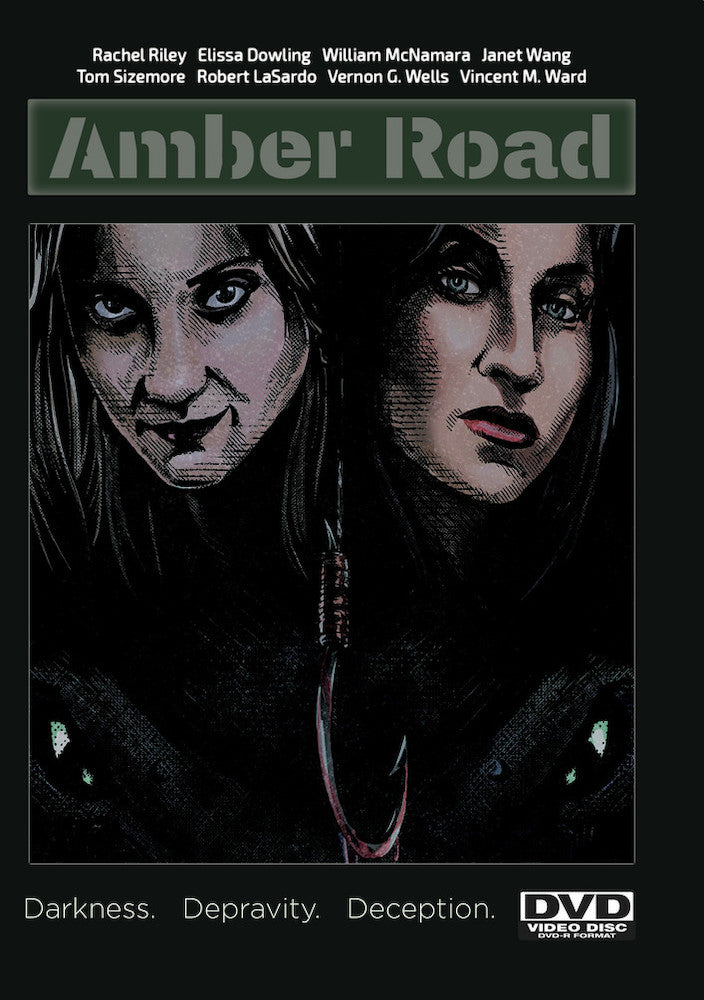 Amber Road cover art