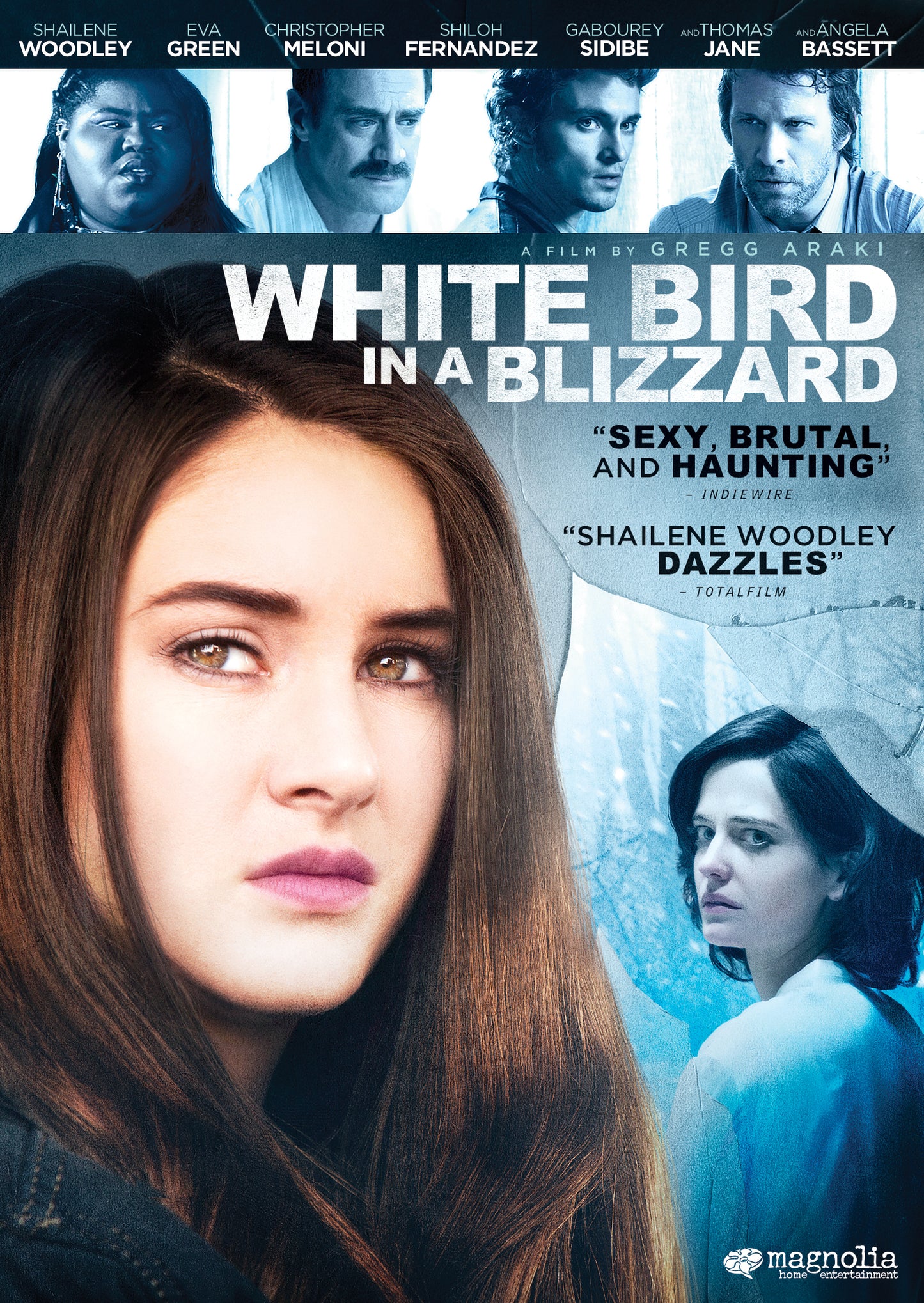 White Bird in a Blizzard cover art
