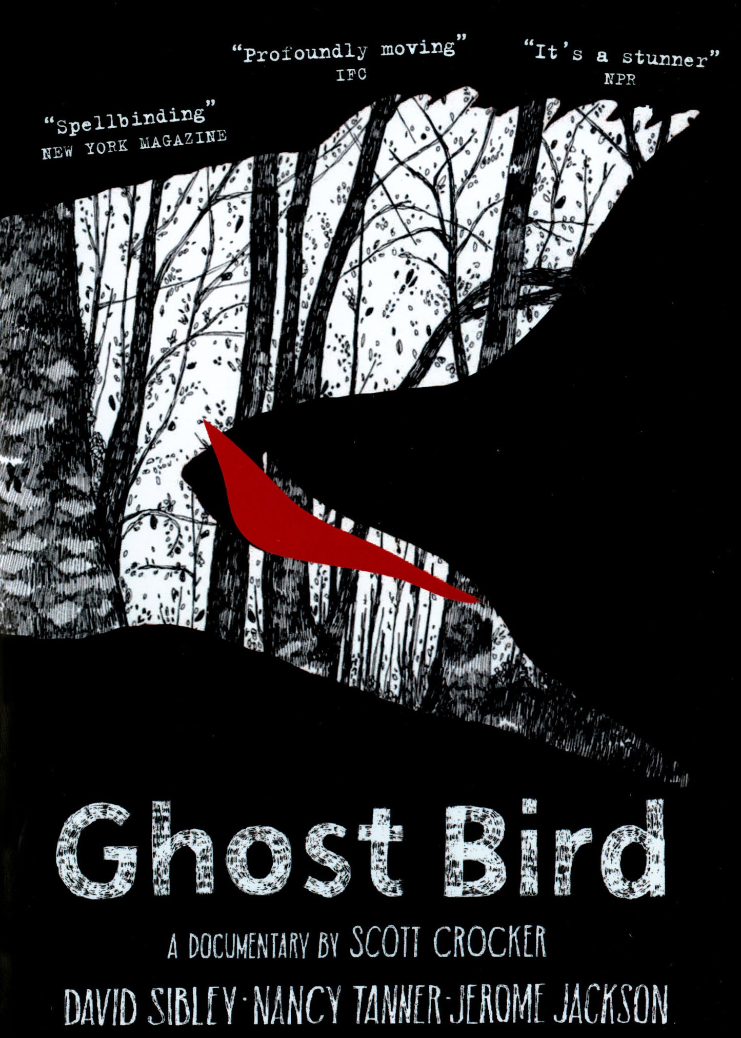Ghost Bird cover art