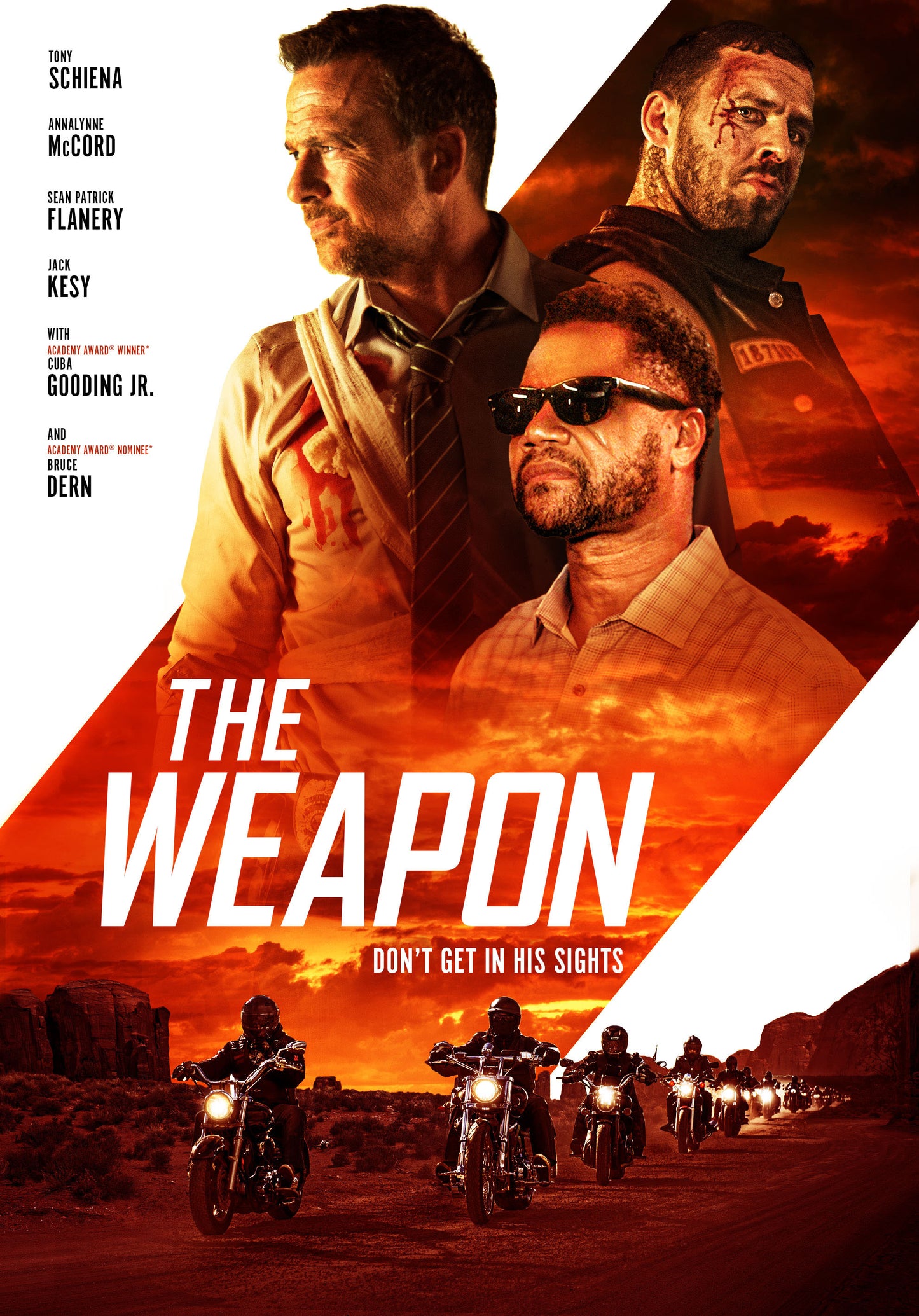 Weapon cover art
