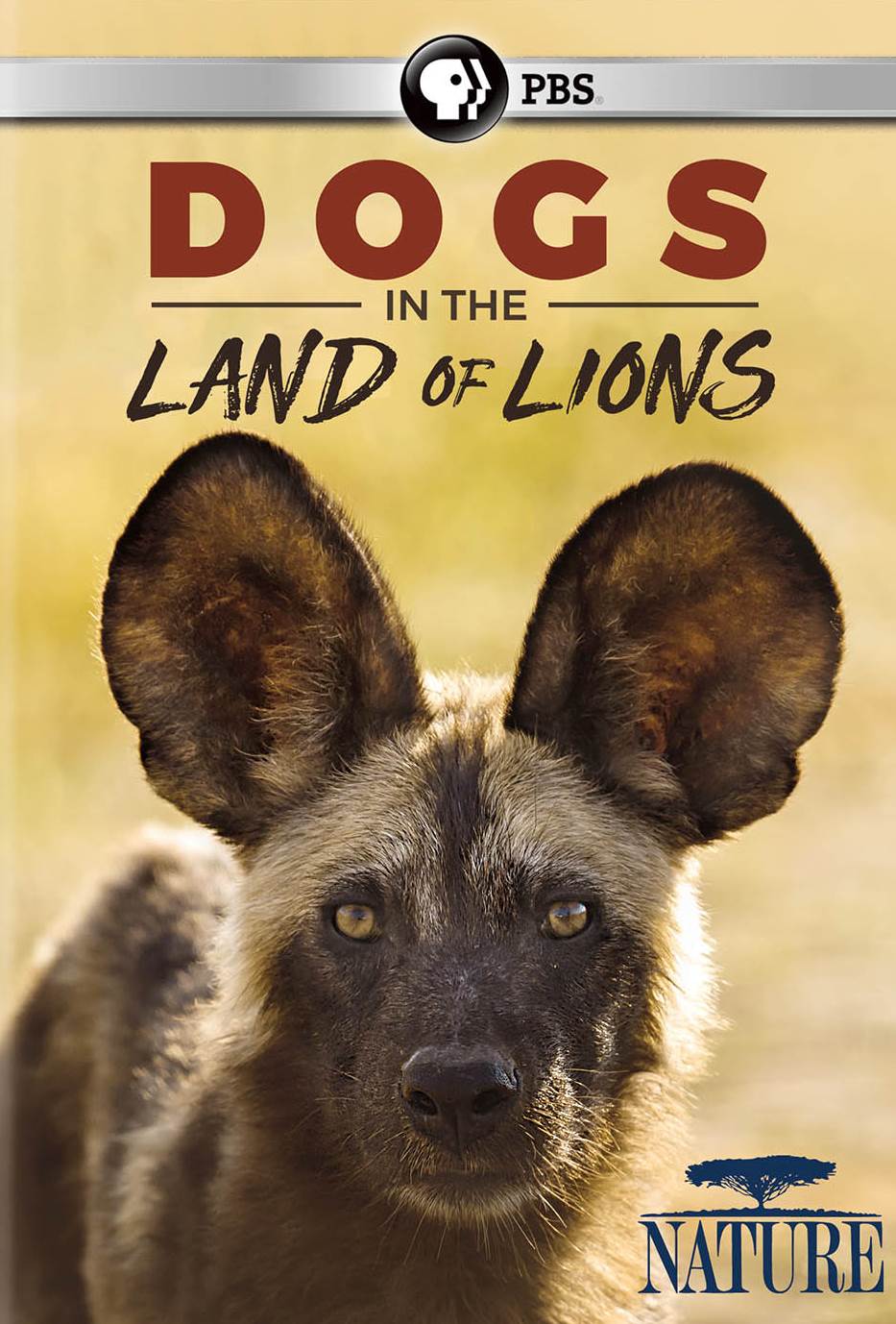 Nature: Dogs in the Land of Lions cover art