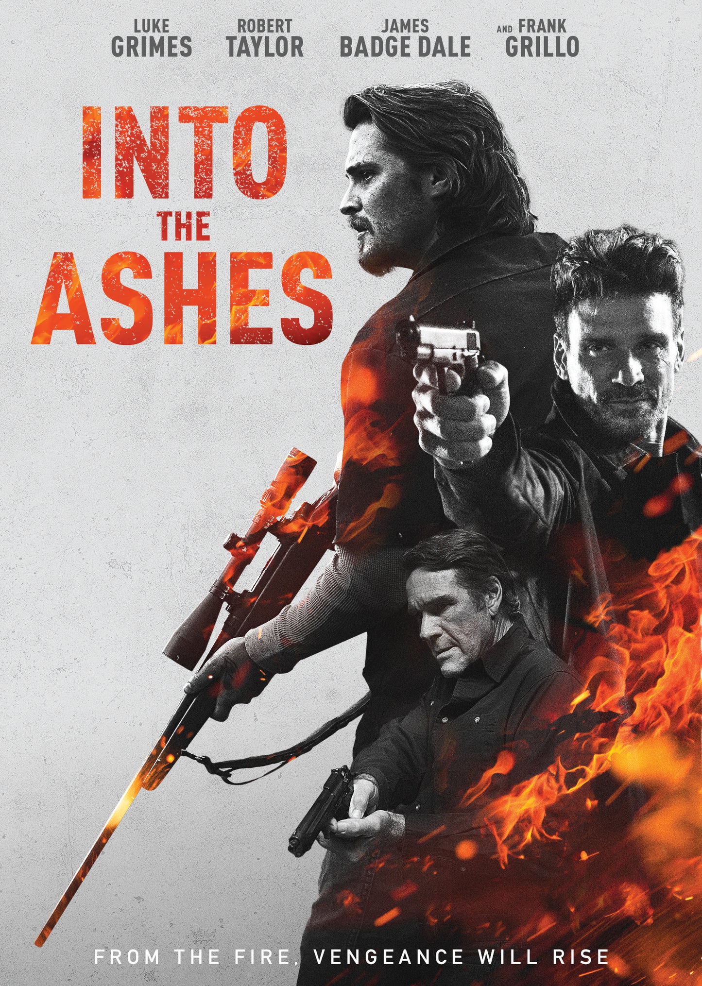 Into the Ashes cover art