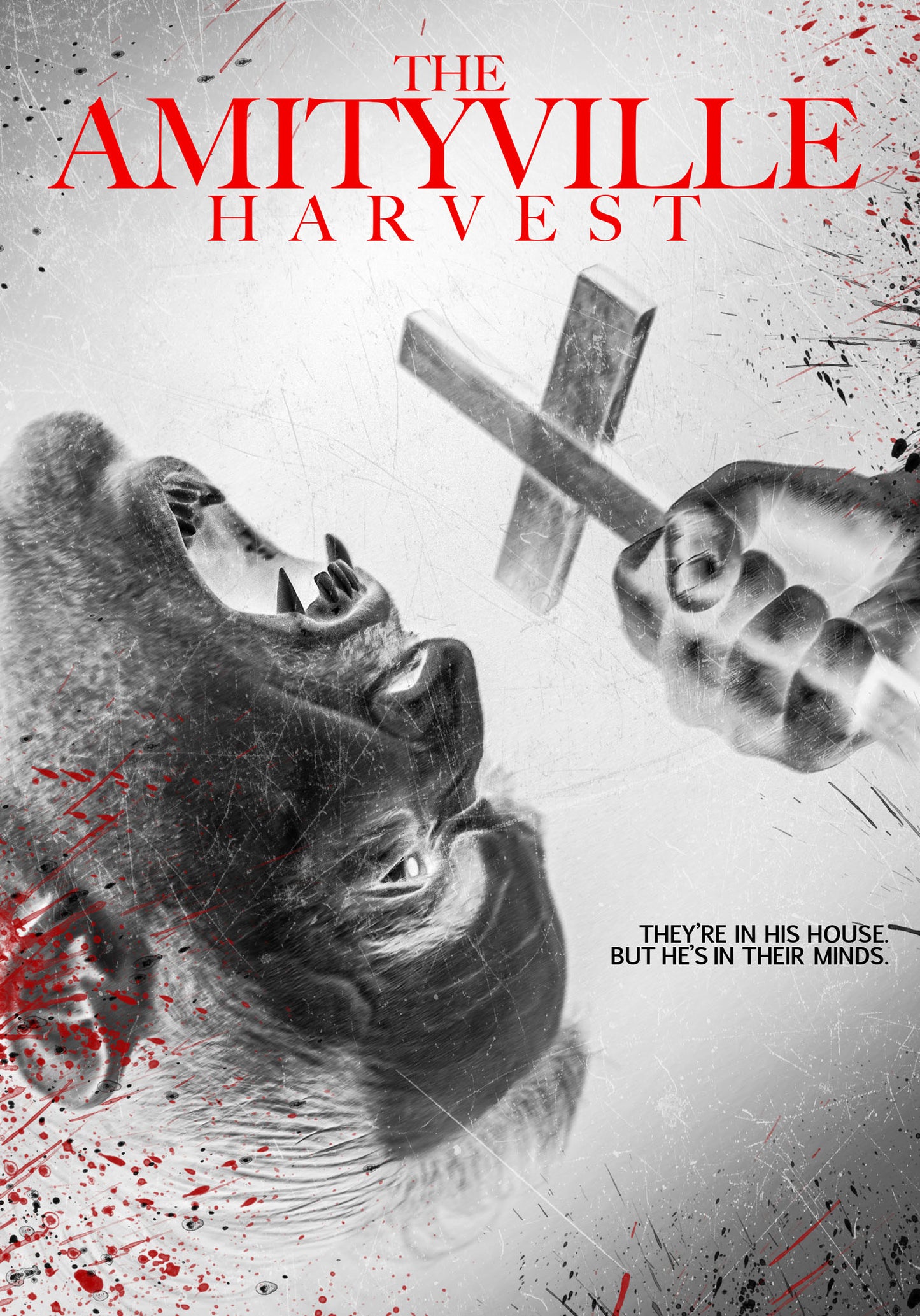 Amityville Harvest cover art