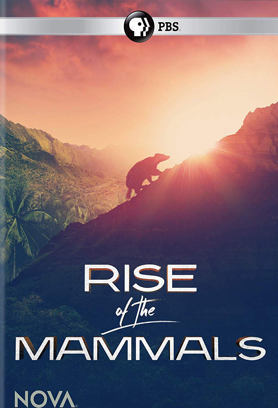 NOVA: Rise of the Mammals cover art
