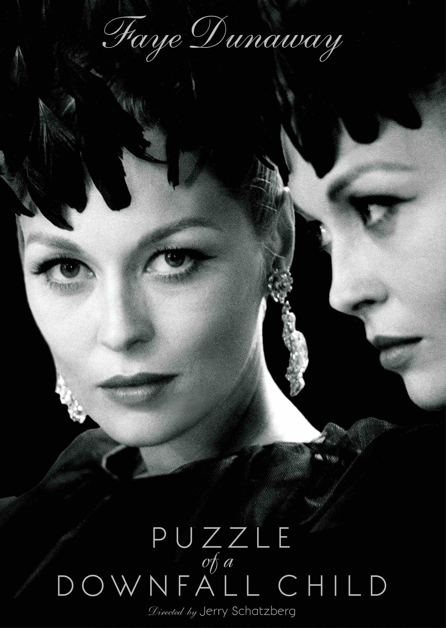 Puzzle of a Downfall Child cover art