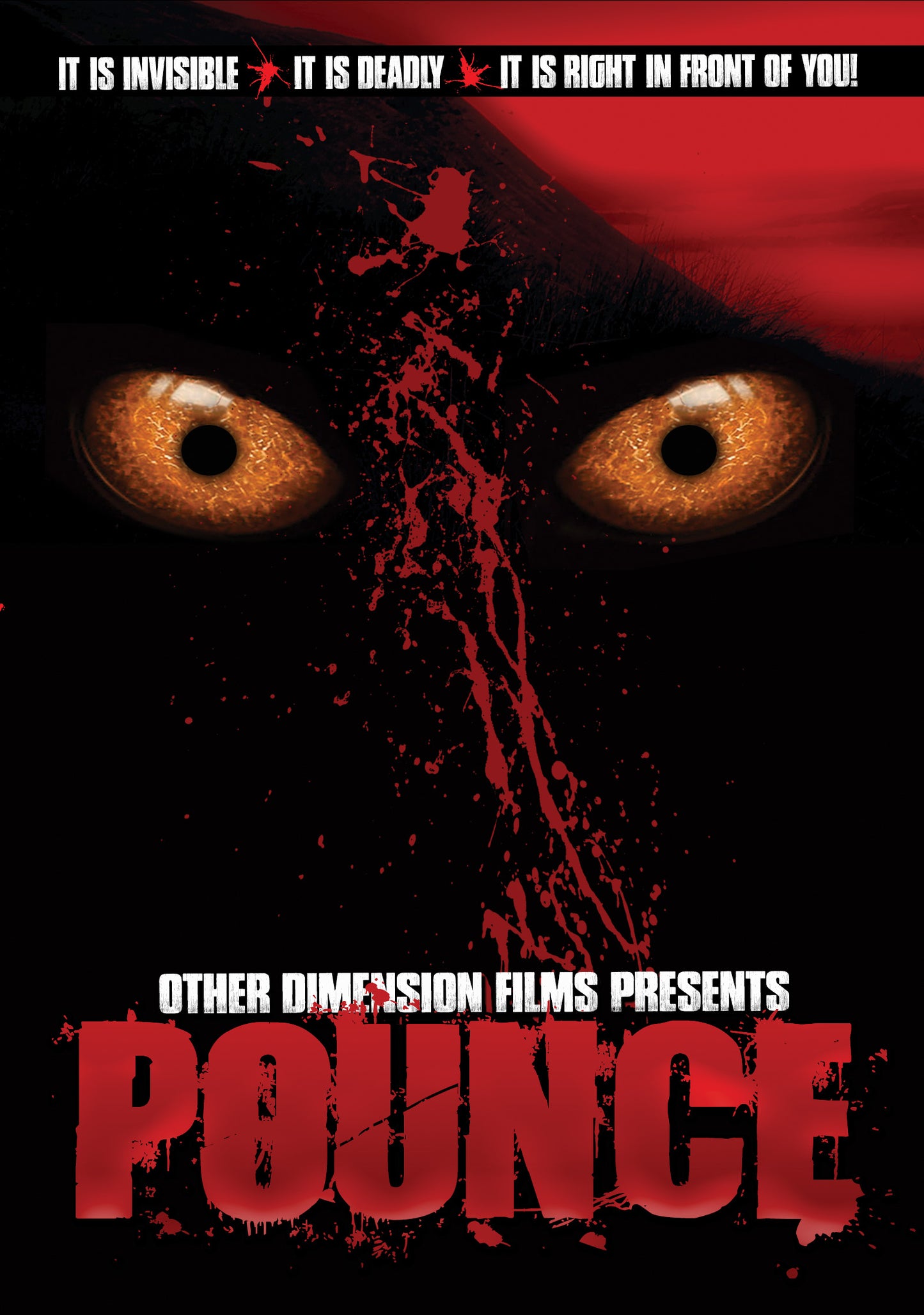Pounce cover art