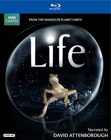 Life (Narrated By David Attenborough) cover art