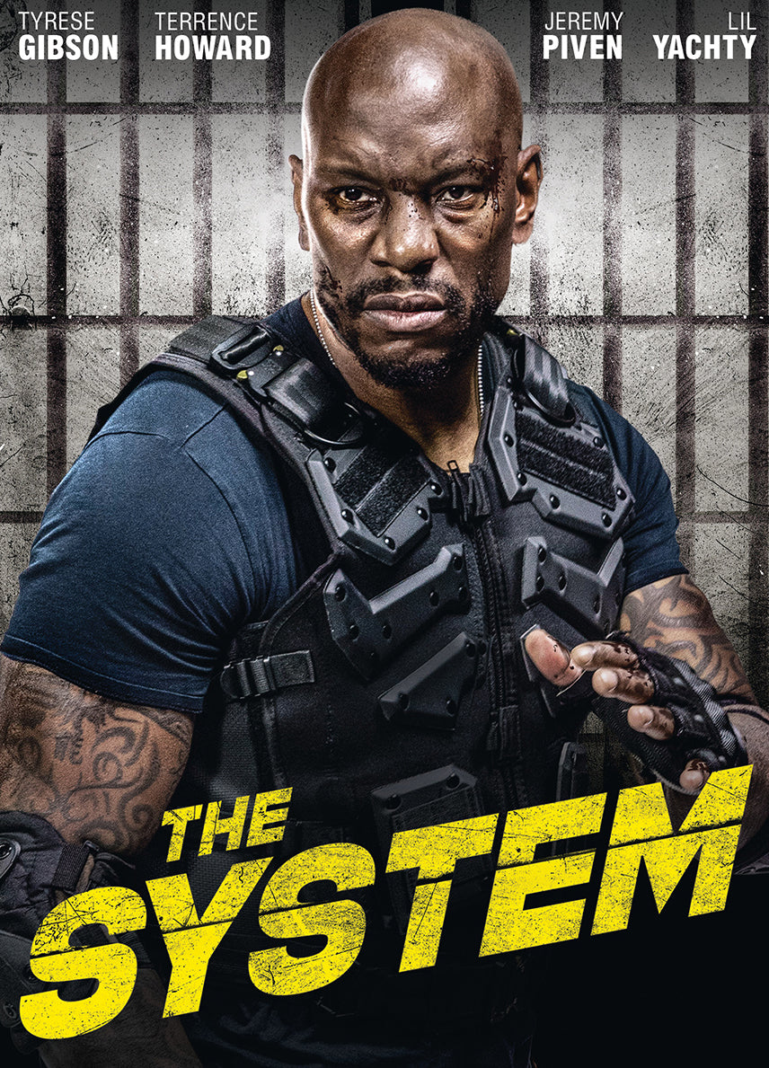 System cover art