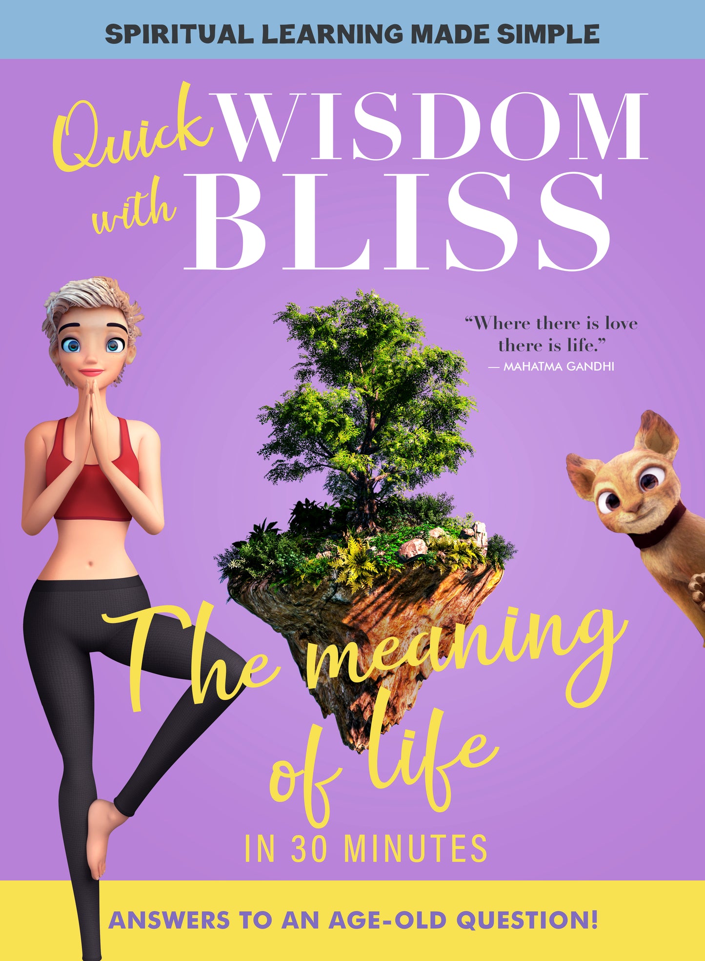 Quick Wisdom with Bliss: The Meaning of Life cover art