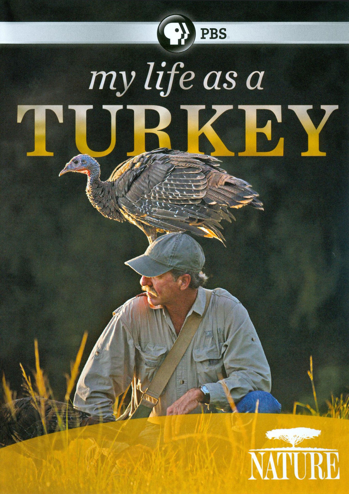 Nature: My Life as a Turkey cover art
