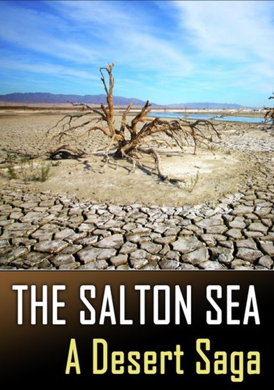 Salton Sea: A Desert Saga cover art