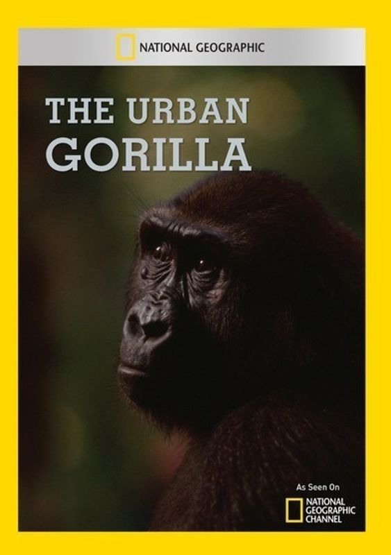 Urban Gorilla cover art