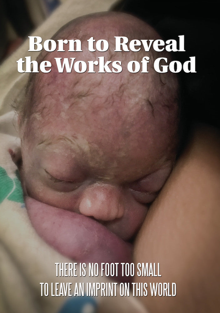 Born to Reveal the Works of God cover art