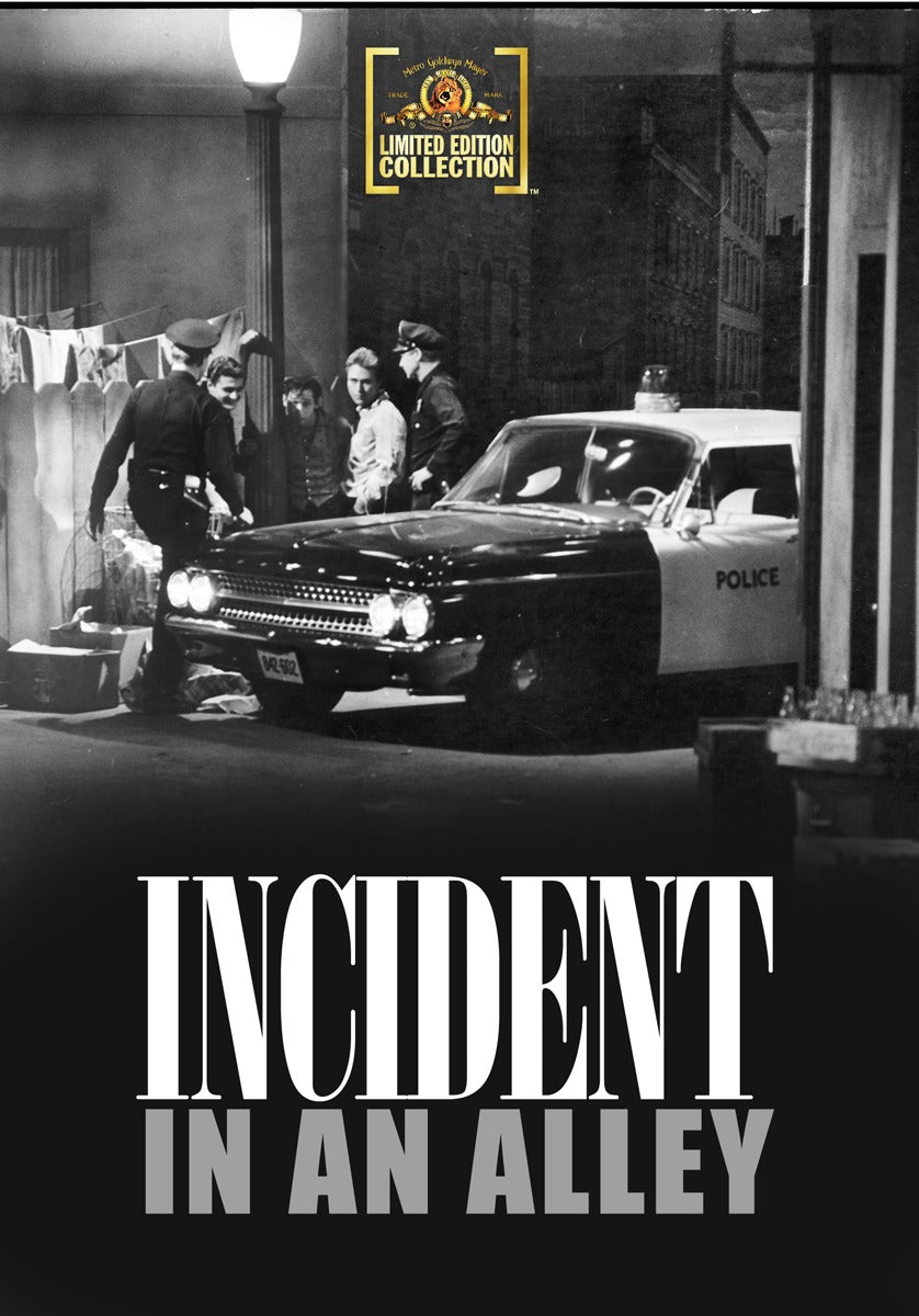 Incident in an Alley cover art