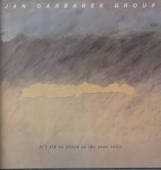 It's OK to Listen to the Gray Voice cover art