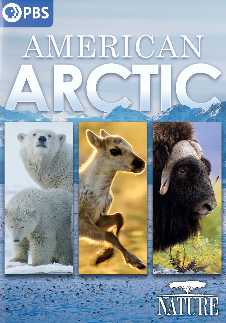 Nature: American Arctic cover art