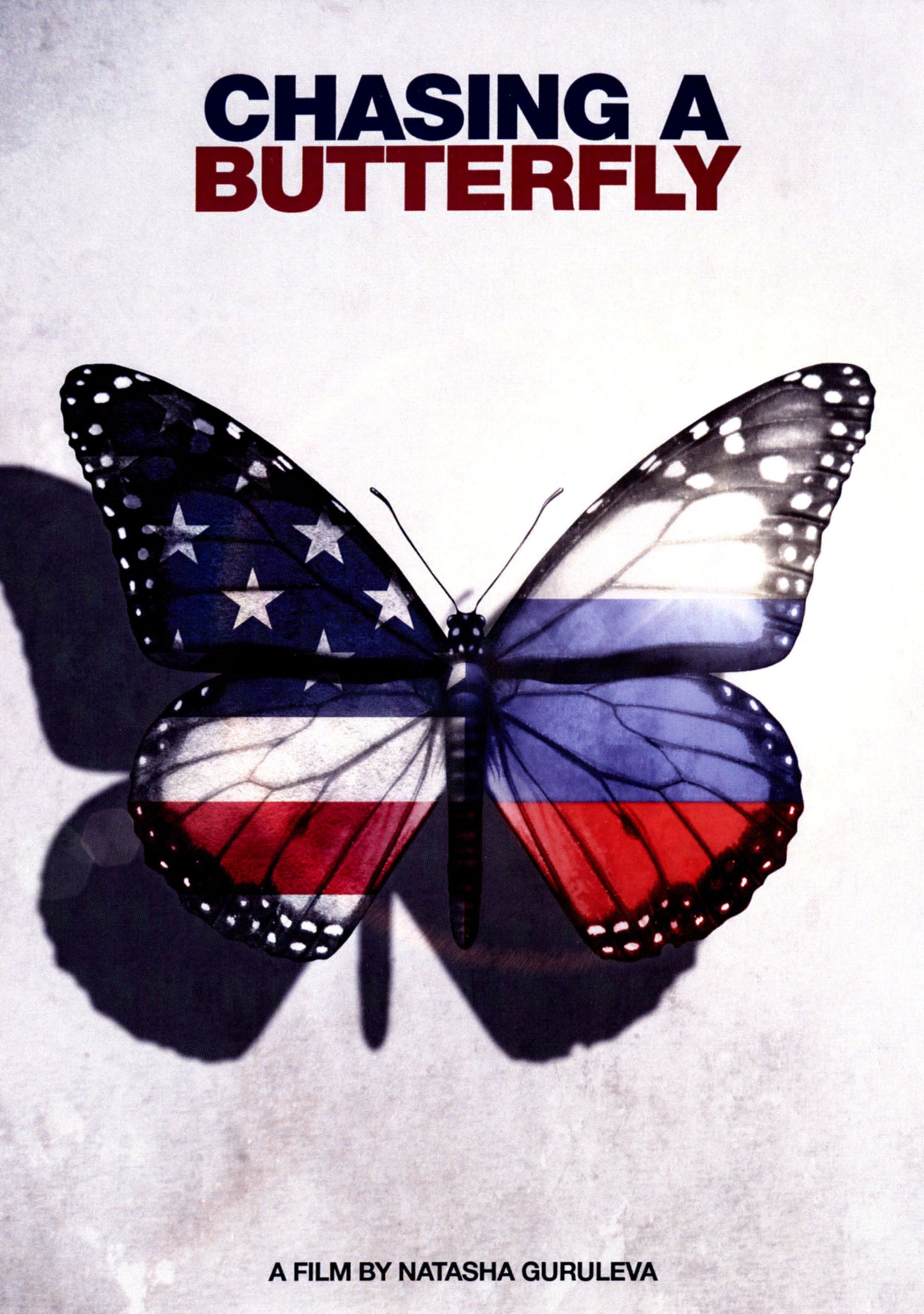Chasing a Butterfly cover art