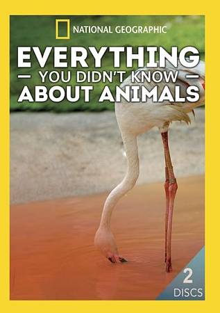 Everything You Didn't Know About Animals cover art