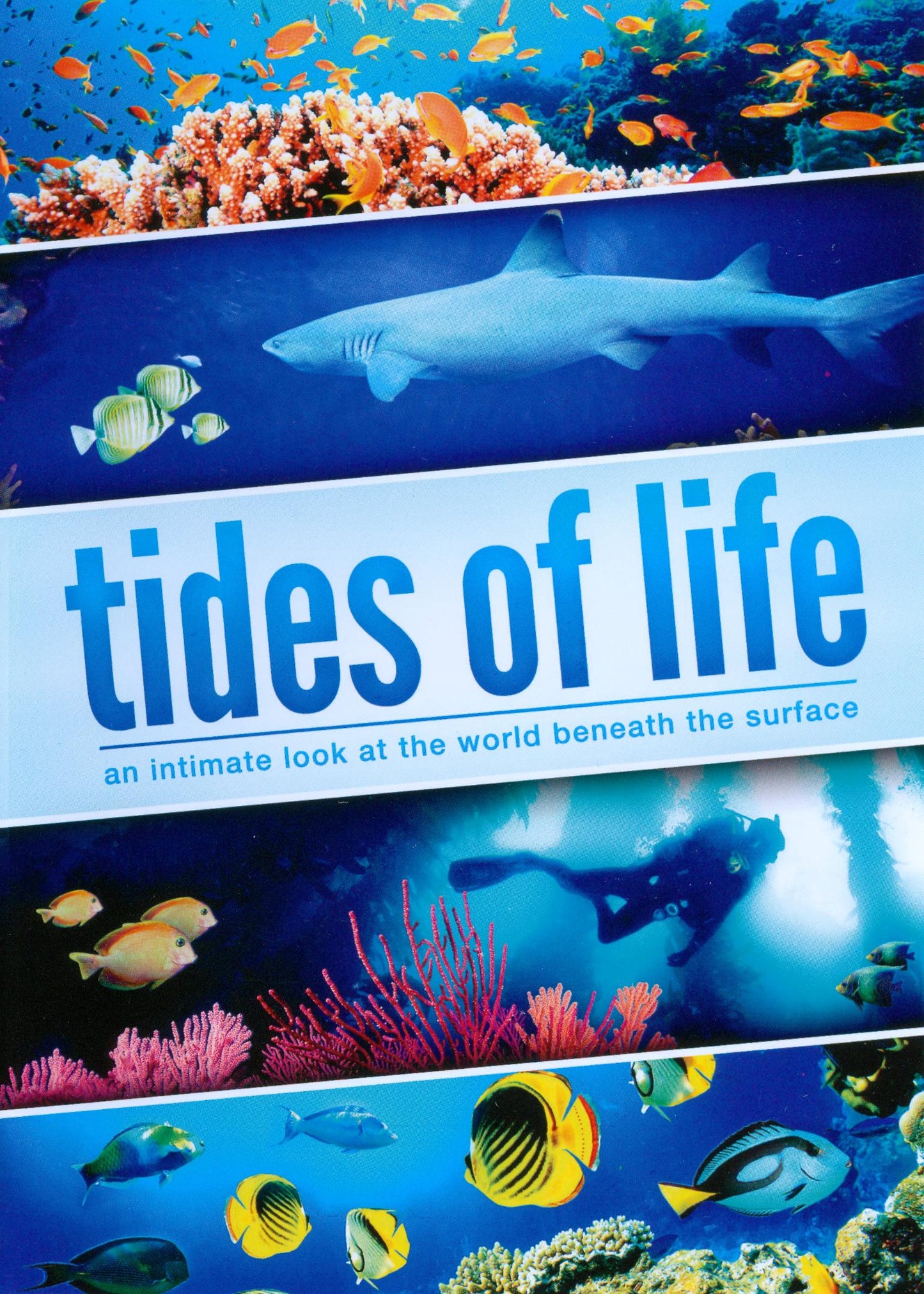 Tides Of Life cover art