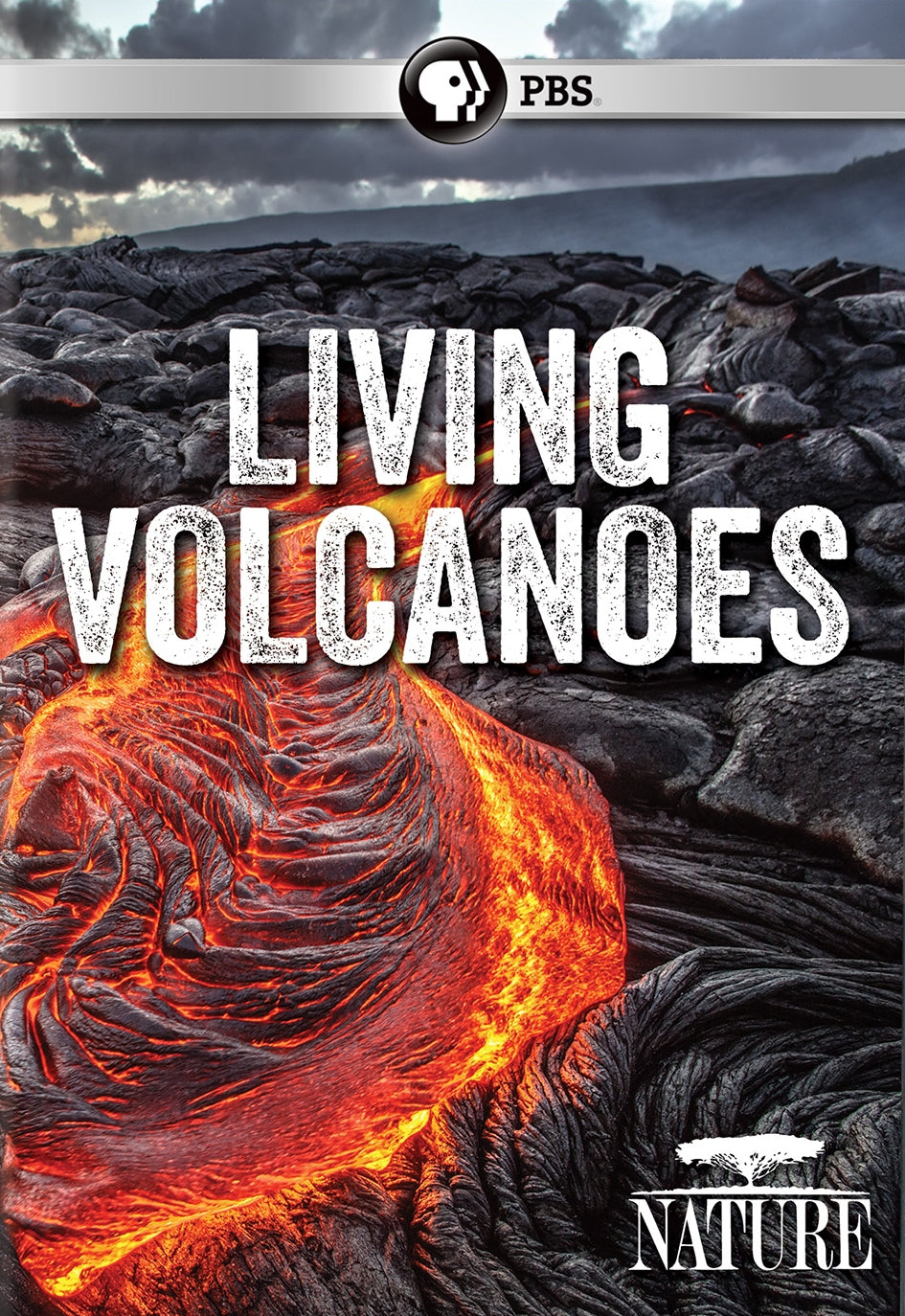 Nature: Living Volcanoes cover art