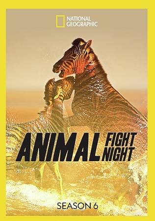 Animal Fight Night: Season 6 cover art