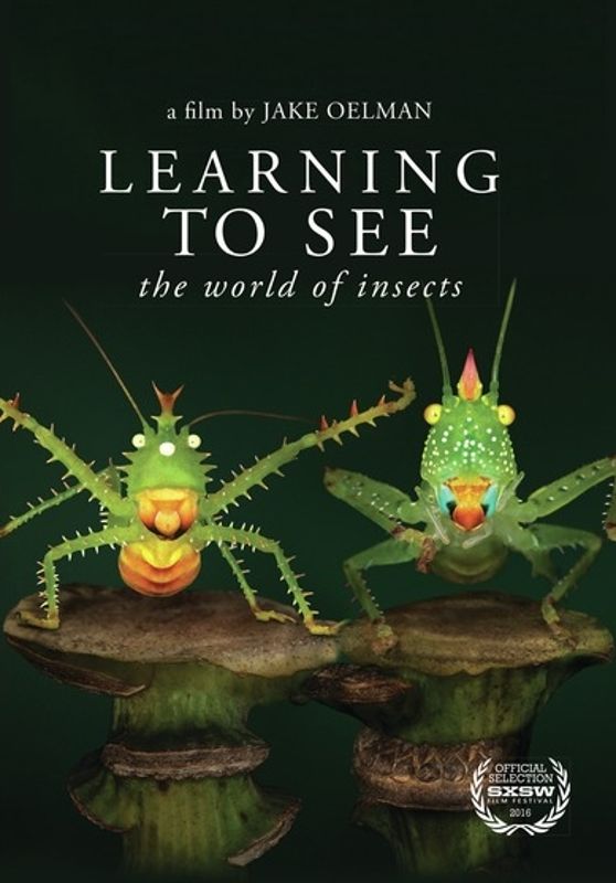 Learning to See: The World of Insects cover art