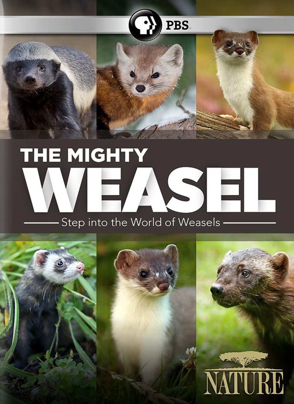 Nature: The Mighty Weasel cover art