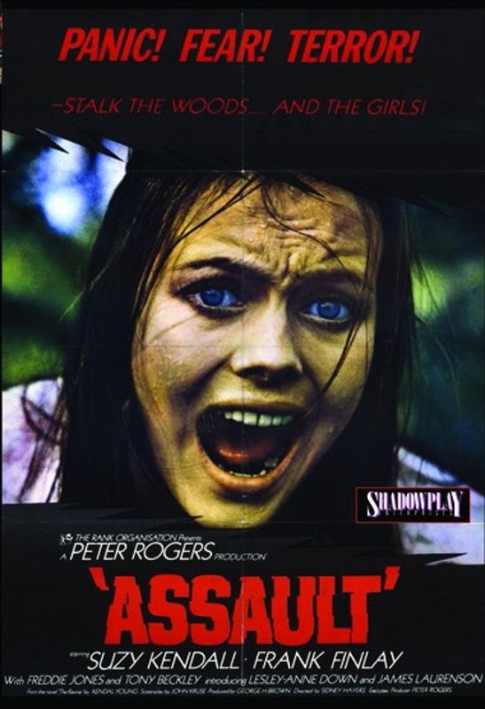Assault cover art
