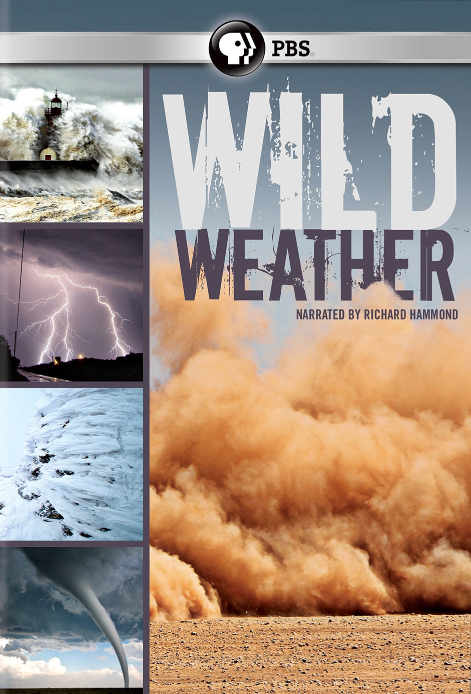 Wild Weather cover art