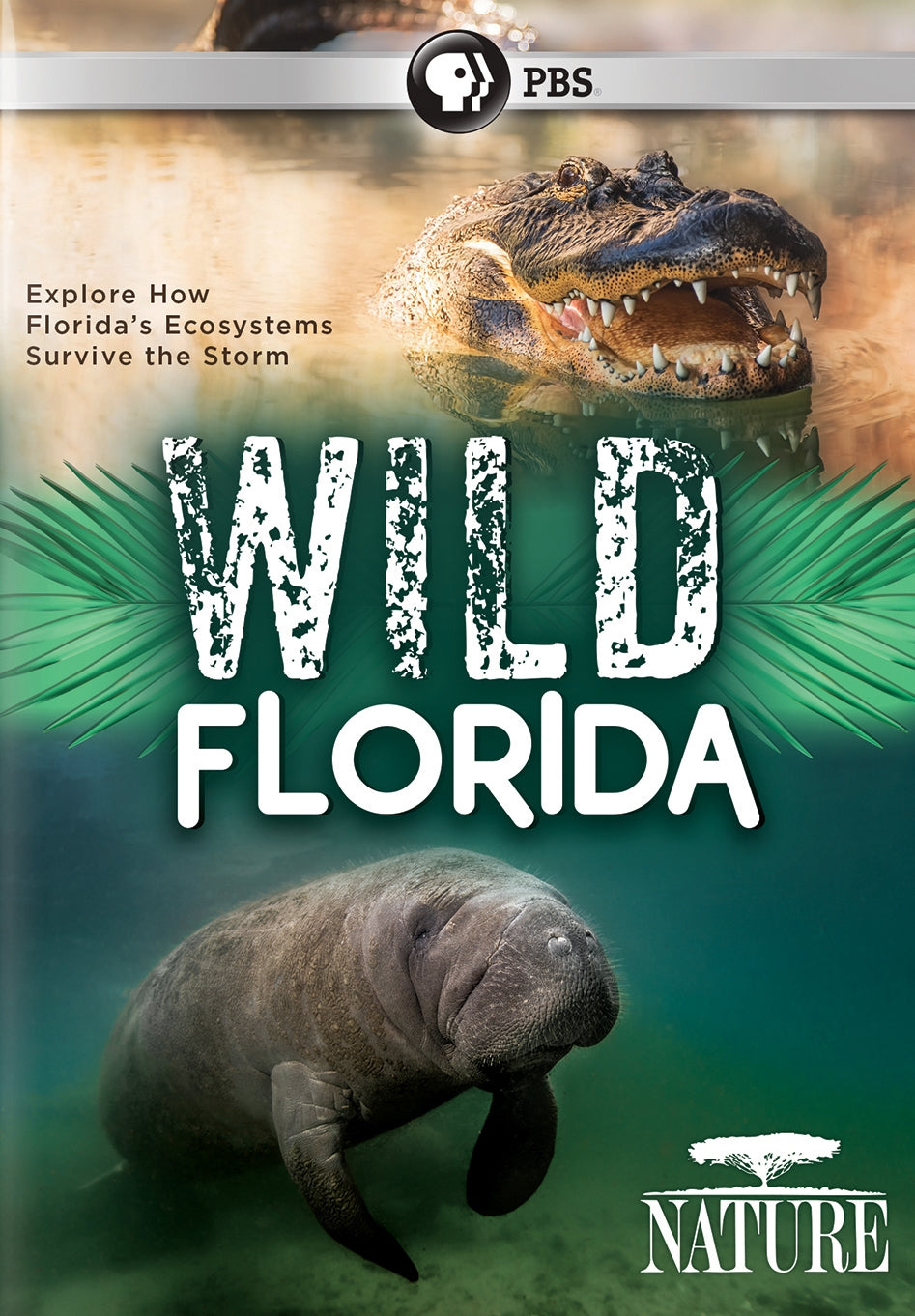 Nature: Wild Florida cover art