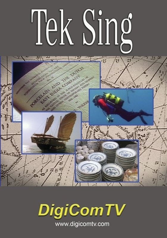 Tek Sing: China's Titanic cover art