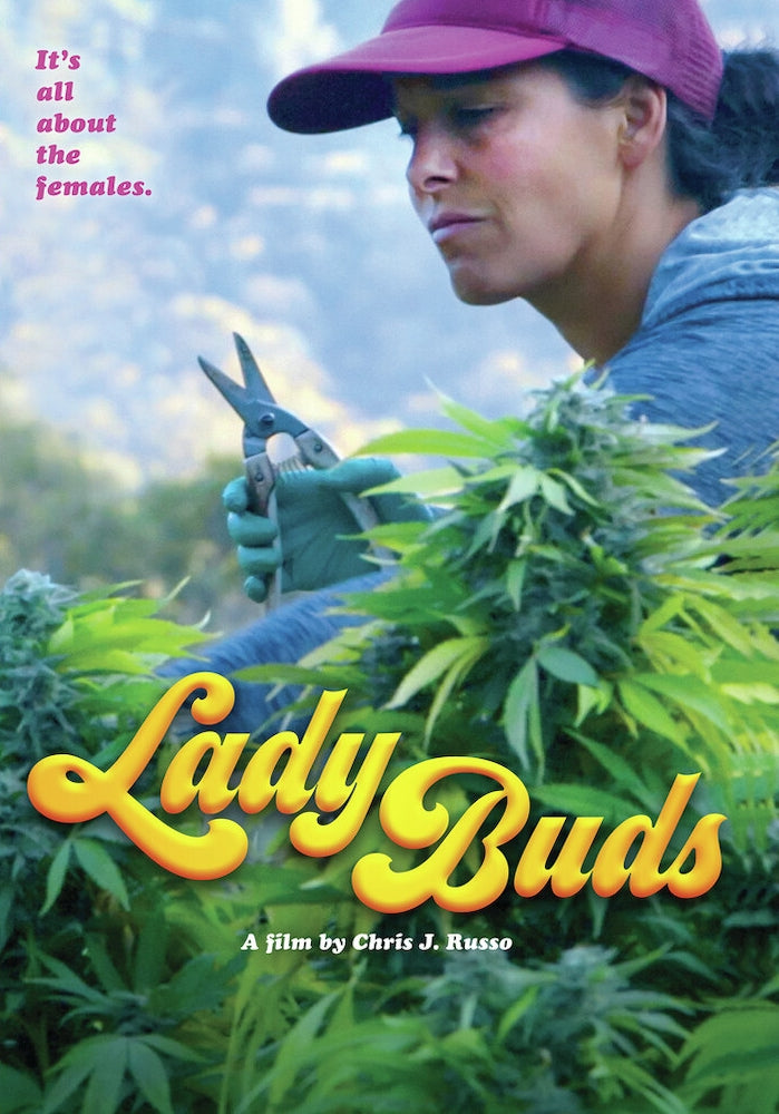 Lady Buds cover art