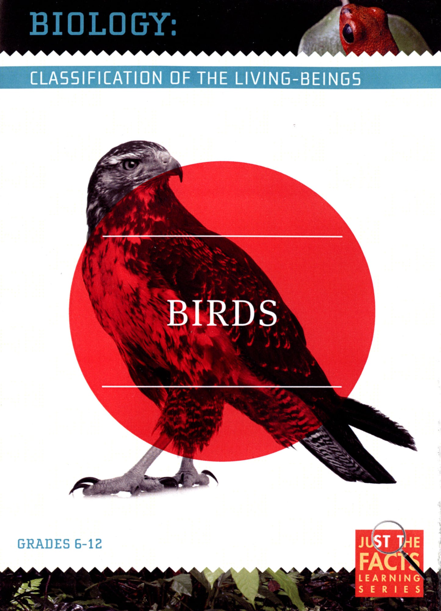 Biology Classification: Birds cover art
