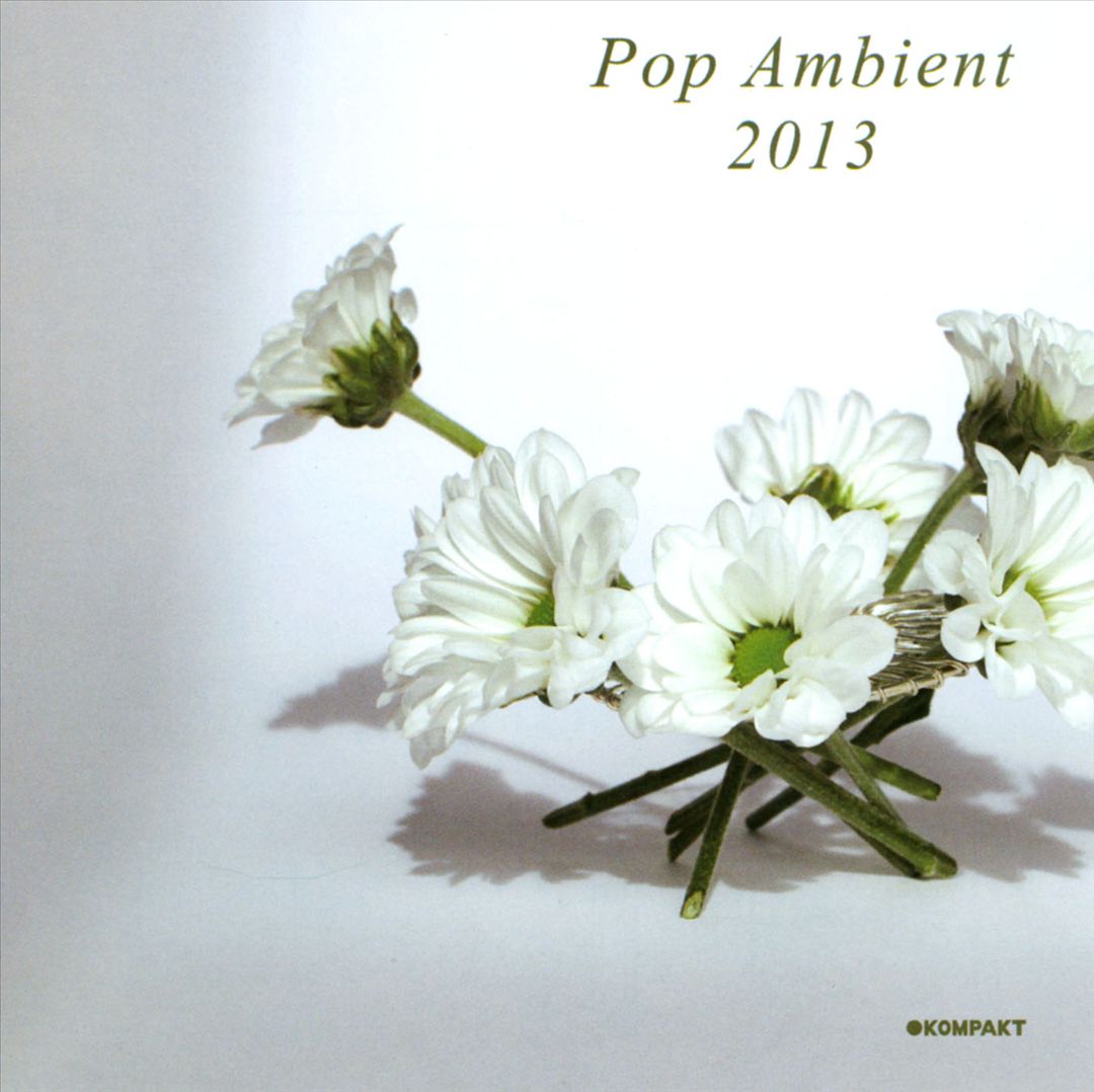 Pop Ambient 2013 cover art