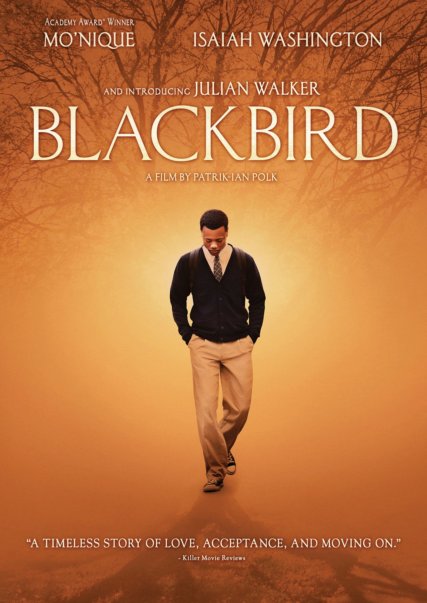 Blackbird cover art