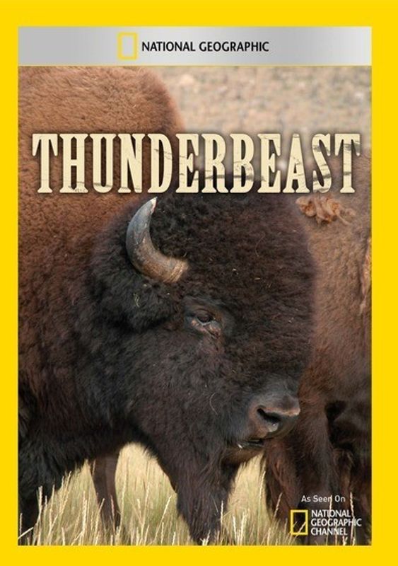 Thunderbeast cover art