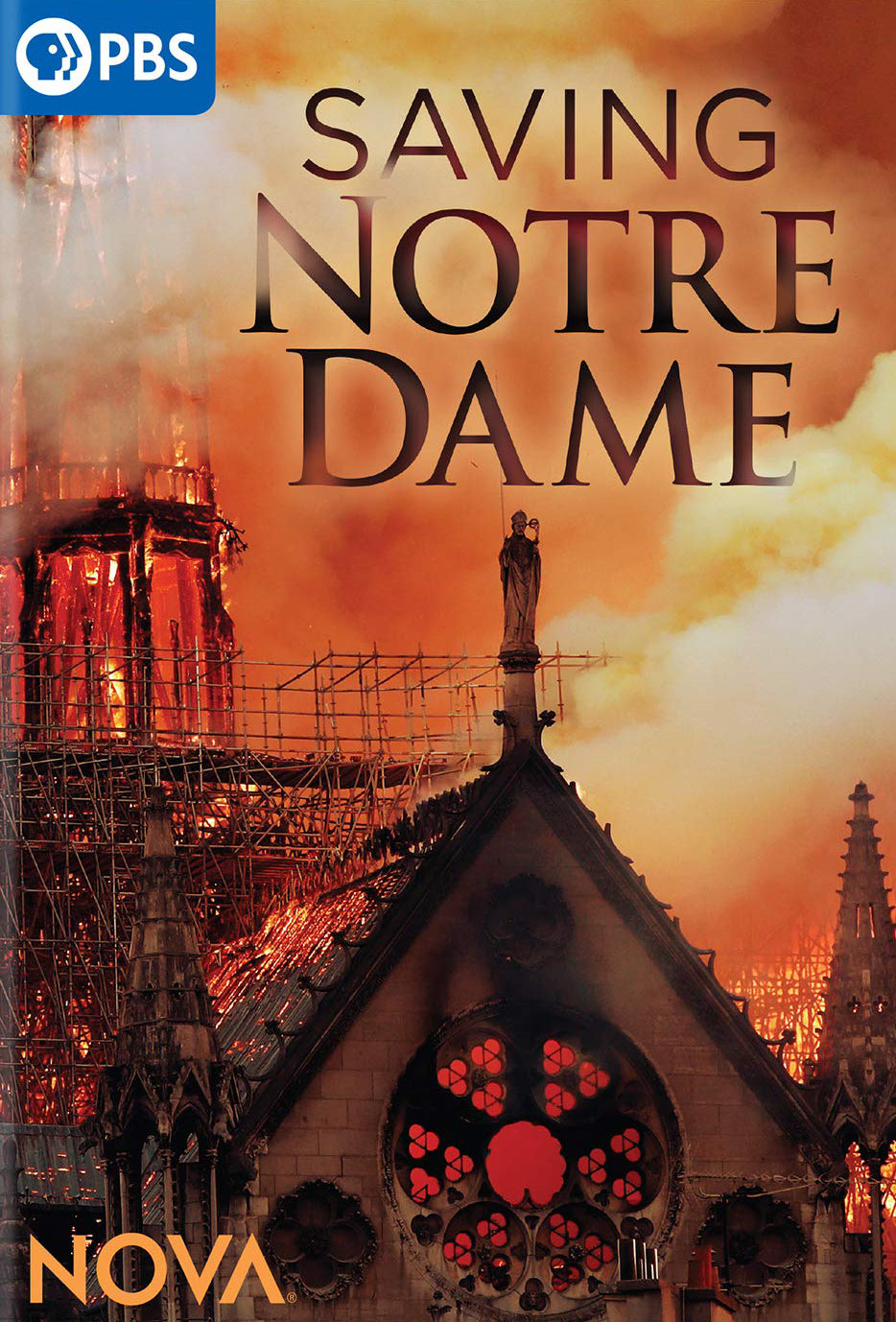 NOVA: Saving Notre Dame cover art