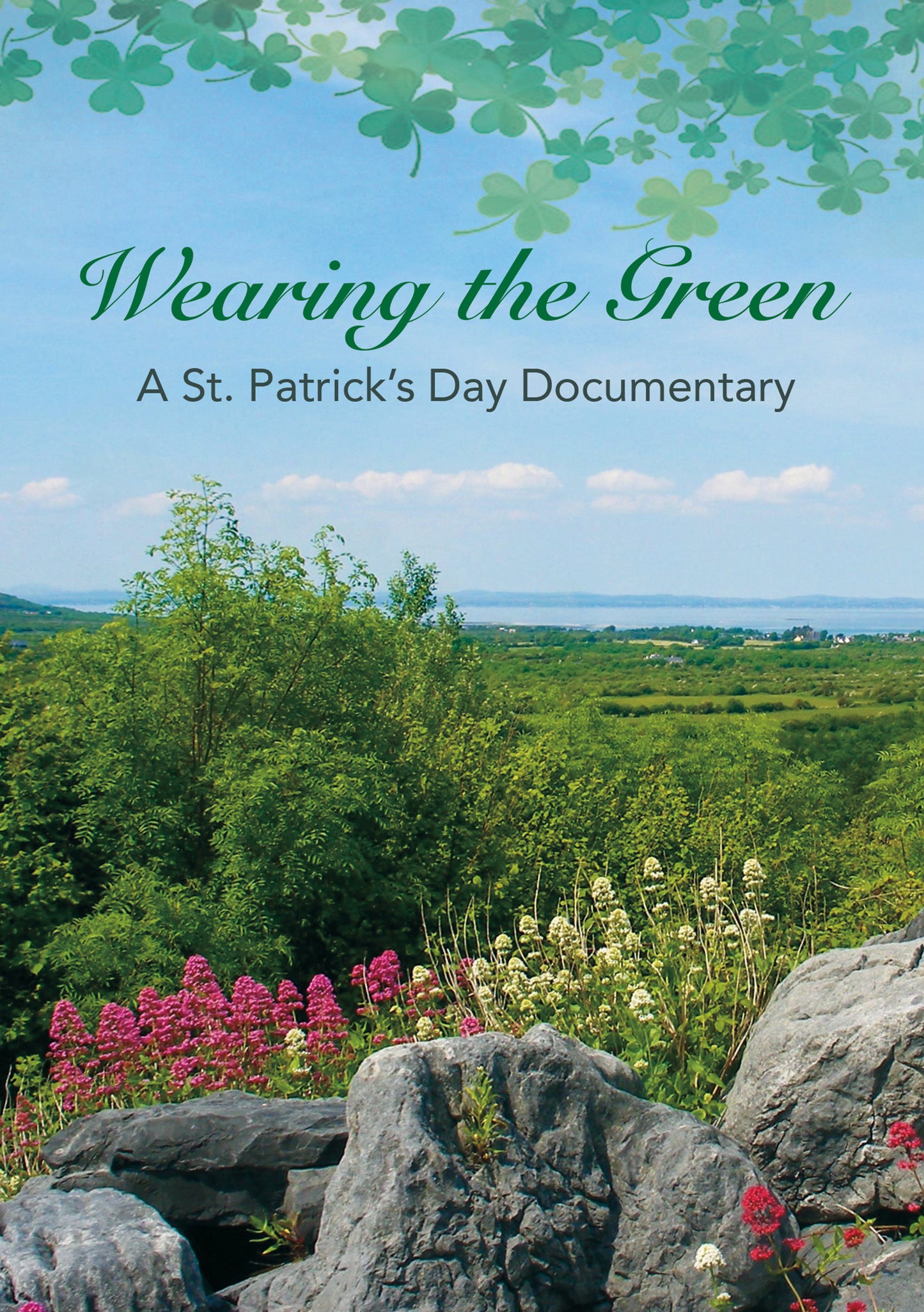 Wearing The Green: A Documentary On St. Patrick'S Day cover art