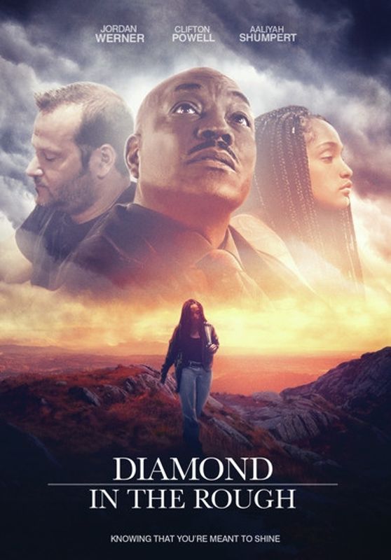 Diamond in the Rough cover art
