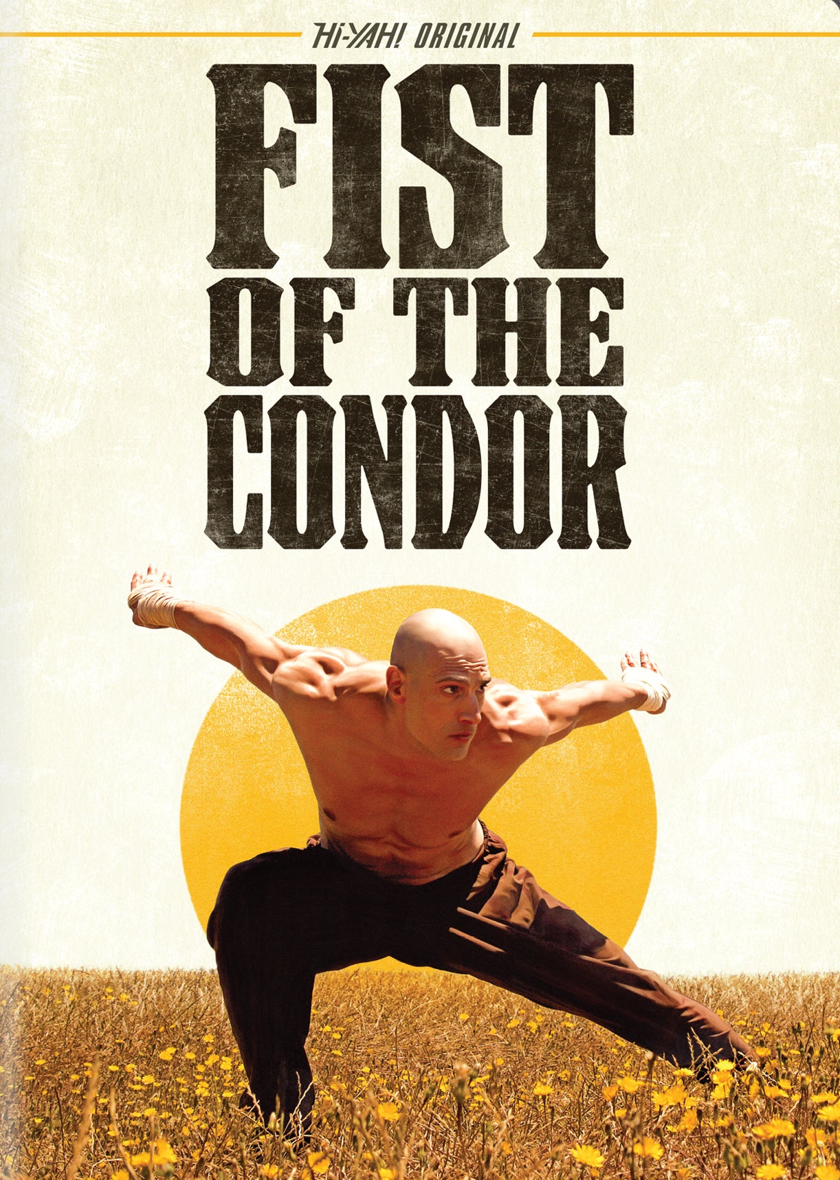 Fist of the Condor cover art