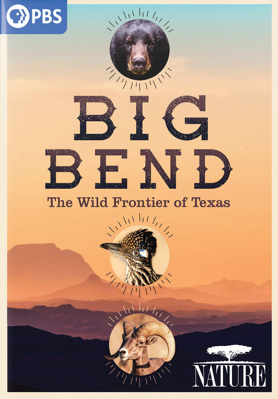 Nature: Big Bend cover art