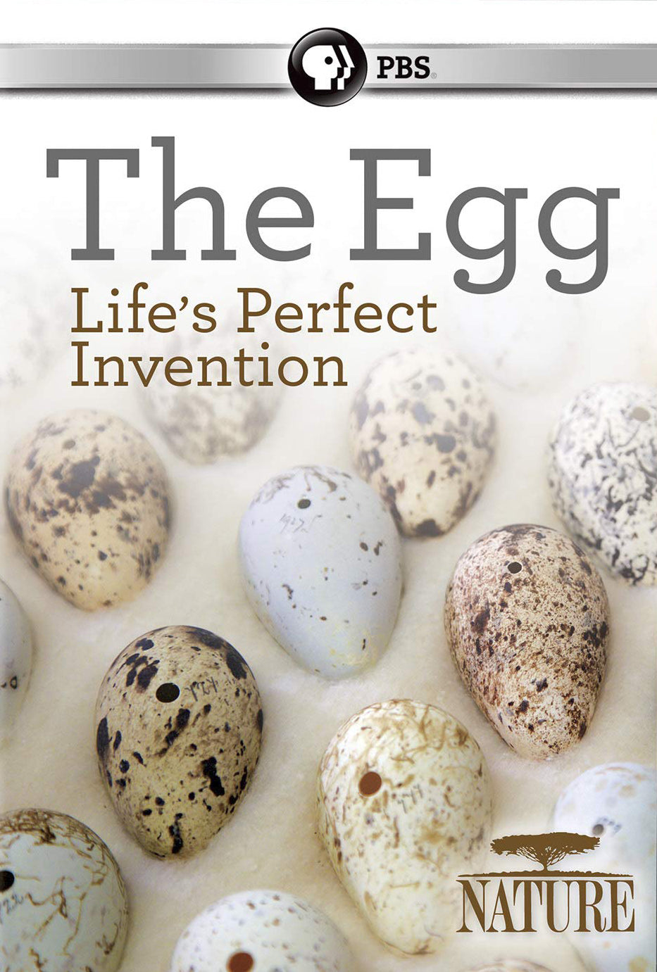 Nature: The Egg - Life's Perfect Invention cover art