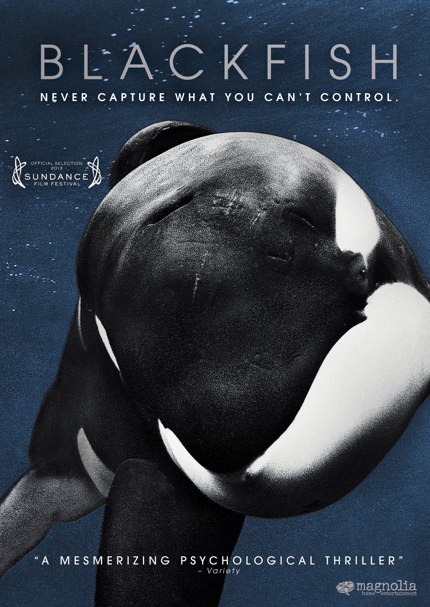 Blackfish cover art