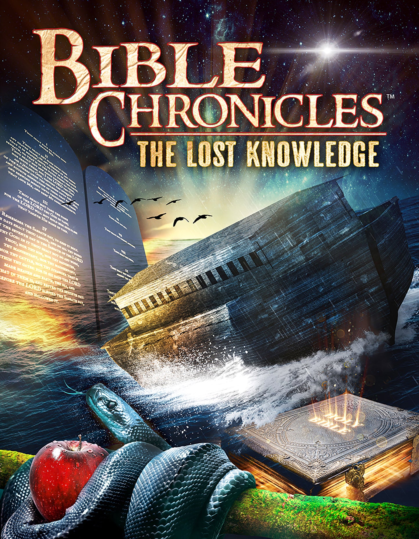 Bible Chronicles: The Lost Knowledge cover art