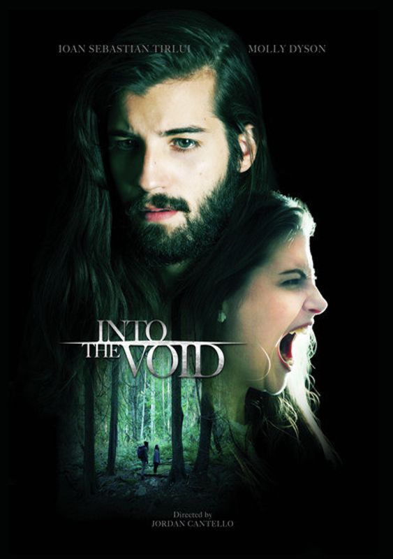 Into the Void cover art